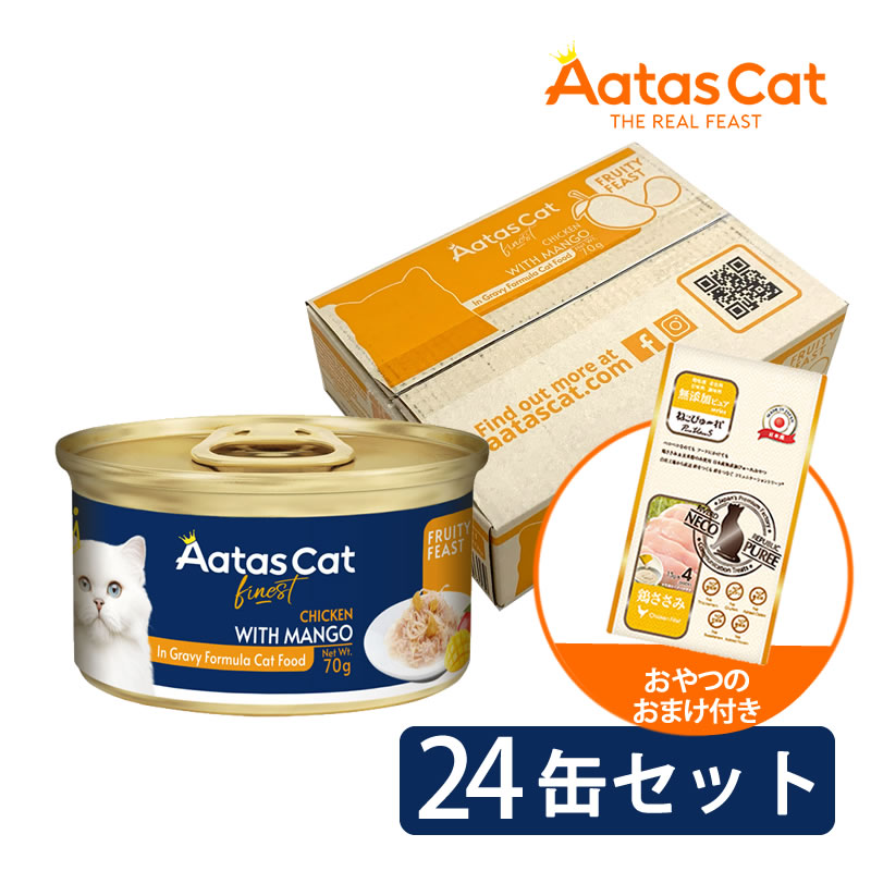 ������ ����å� �ե롼�ƥ����ե������� ������with�ޥ󥴡� 70g 24�̥��åȡʤ���ĤΤ��ޤ��դ���
