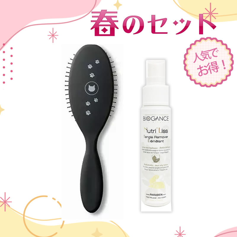 �դΥ��å� ��ǭ��ͥ�����֥�å��󥰥��å�