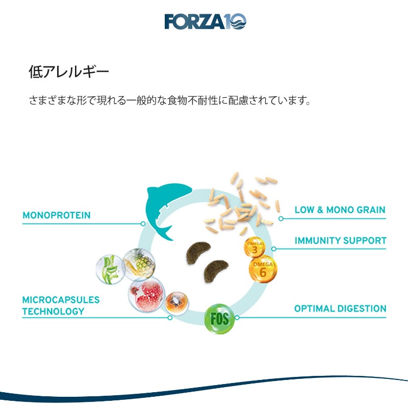 Forza10 Daily Pro ������ȥե��å��� ����å� 400g