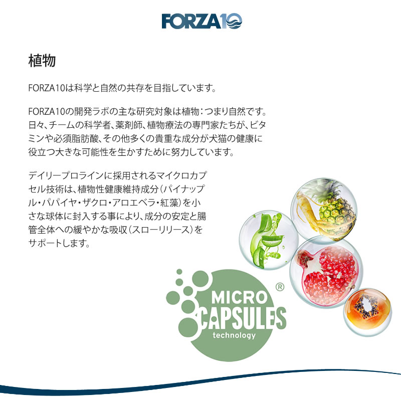 Forza10 Daily Pro ������ȥե��å��� ����å� 400g