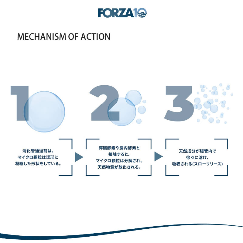 Forza10 Daily Pro ������ȥե��å��� ����å� 400g