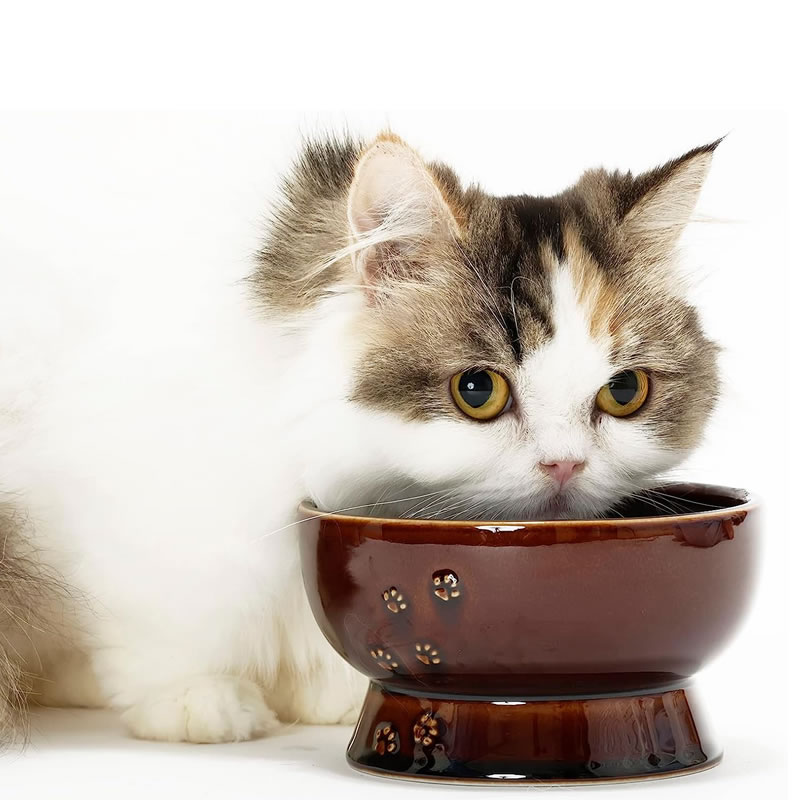 ǭ�� ��ǻ�� ���� ���������� �ܥ��� �֥饦��
