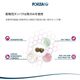 Forza10 �����ƥ��� ����å� ����ƥ��ƥ��ʥ� 400g