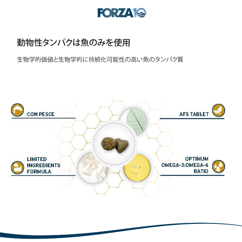 Forza10 �����ƥ��� ����å� ����ʥ꡽ 400g