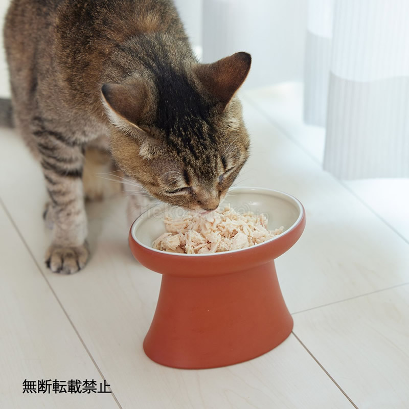 ǭ�� ���� OPPO �ȥ��ܥ��� TokoBowl for Food �ա��ɥܥ���