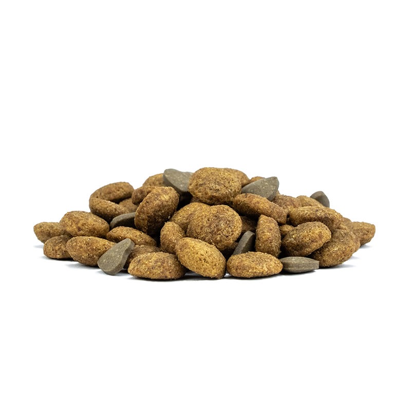 Forza10 �����ƥ��� ����å� ��ʡ��� 400g