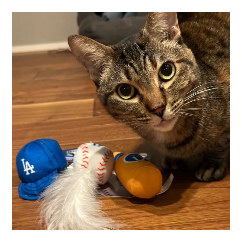 MBL��ǧ �ɥ��㡼�� ��ë��ʿ�����ǥ� 3PC ����åȥ˥åץȥ�