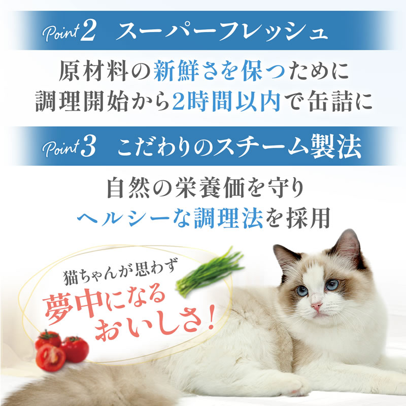 Cherie �����꡼ ���ե�BOX ��ǭ�� 6��