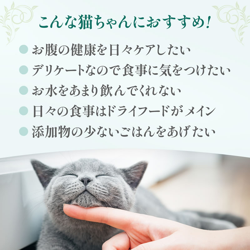 Cherie �����꡼ ���ե�BOX ��ǭ�� 6��