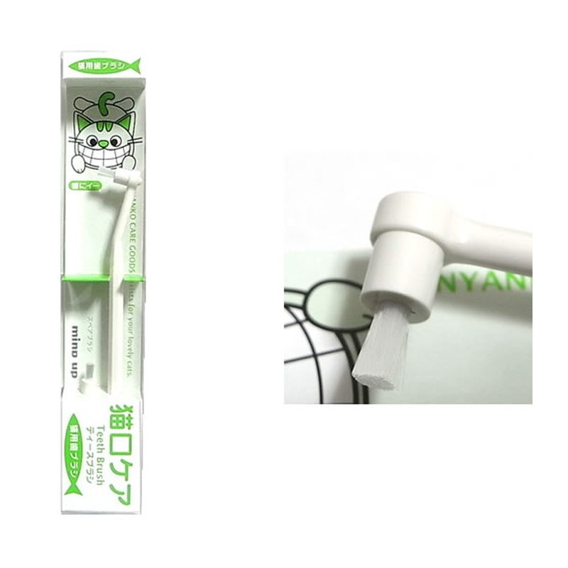 ǭ������ �ƥ������֥饷