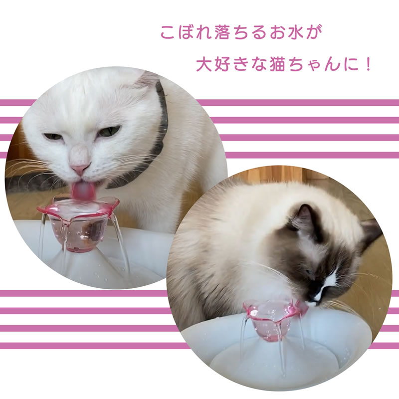 GEX �ԥ奢���ꥹ���� �ץ饹 ���塼��å�