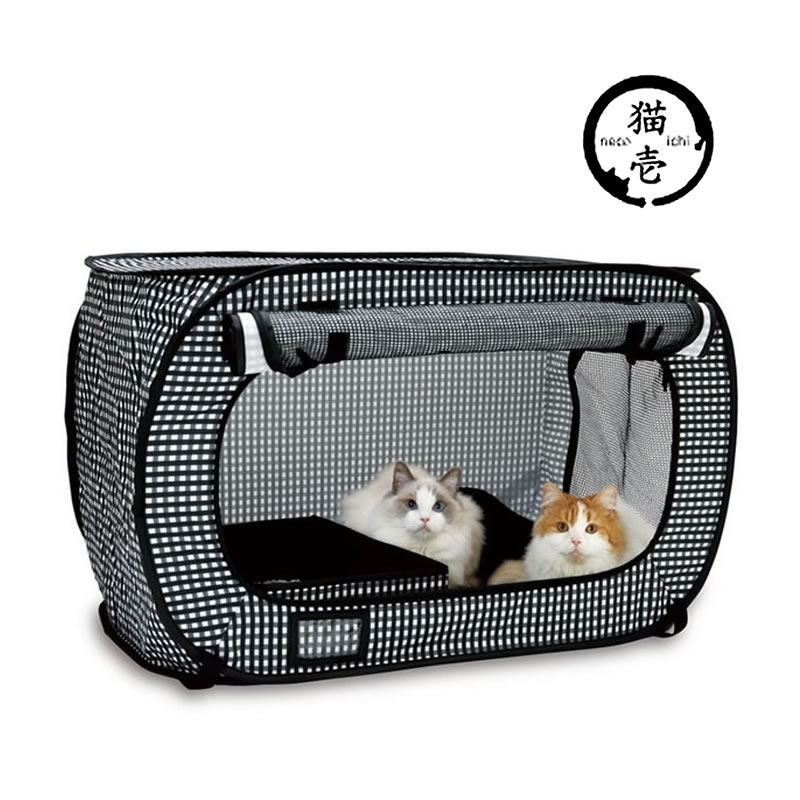 ǭ�� �ݡ����֥� ������ ��