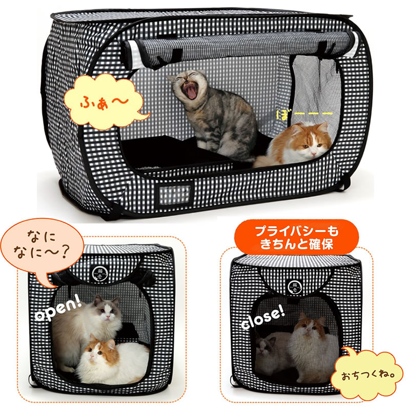 ǭ�� �ݡ����֥� ������ ��