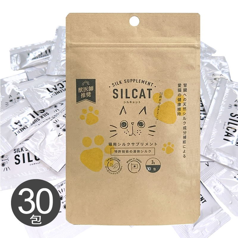 SILCAT 륭å 3g30