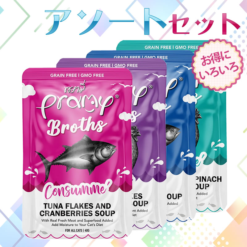 �ץ�ߡ� ������ �������ȥ��å�