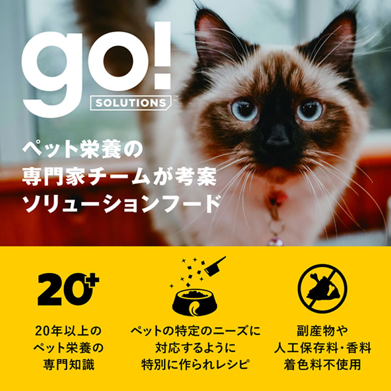 ��������塼����� �������å�+���ᥱ�� ����å� ���쥤��ե꡼ ������쥷�� 500g ǭ�� go solutions