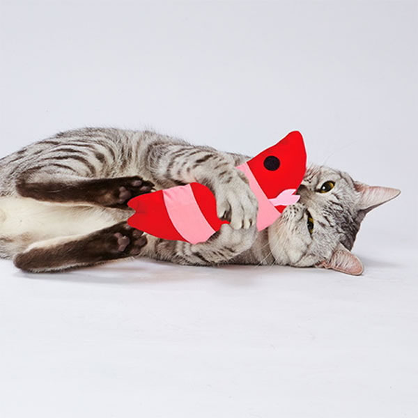 Petio ��ǭ�� ���ꤰ��� �ҥ���