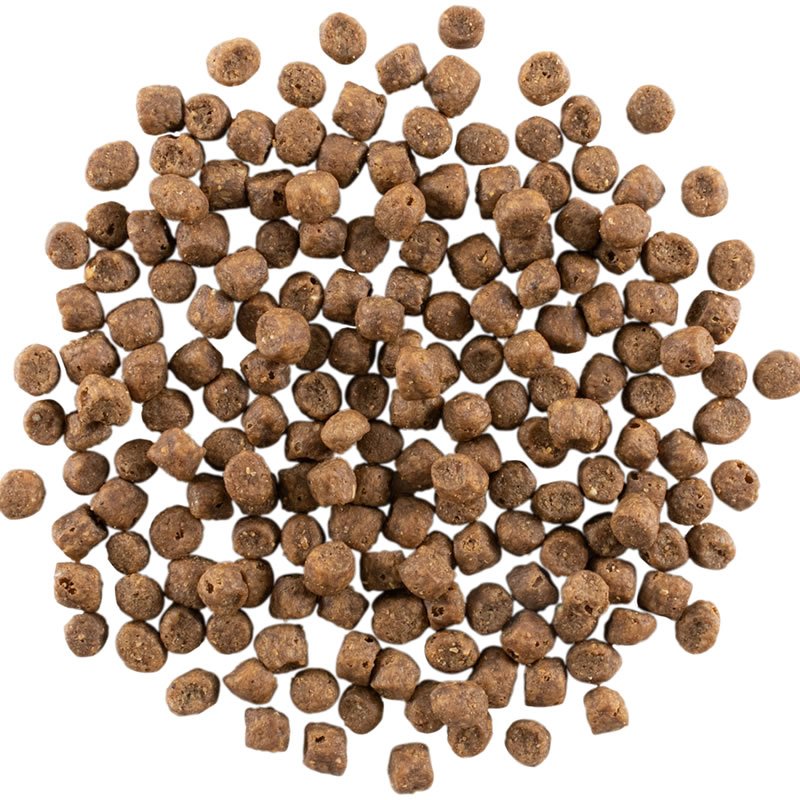 ��� GO �����˥ܥ� �������ܥ��� ����å� 7.25kg