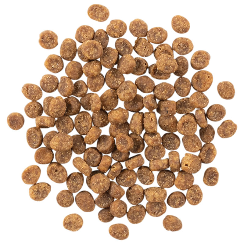 ��� GO ���󥷥ƥ���LID ���å� ����å� 7.25g