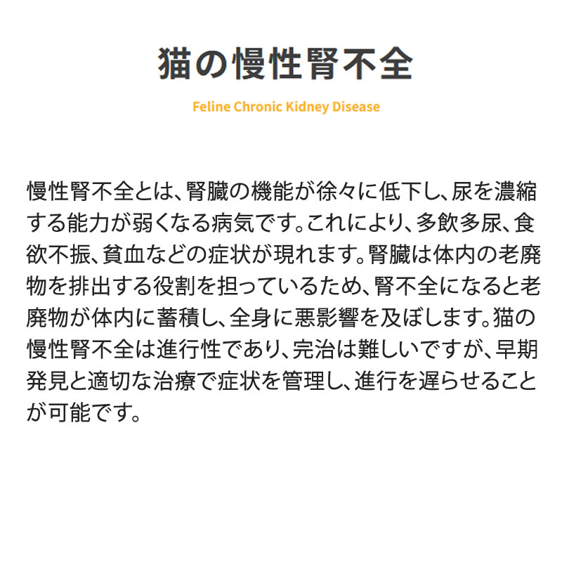 �٥åĥ����� ǭ�� ������ˡ�� ��¡���� 500g