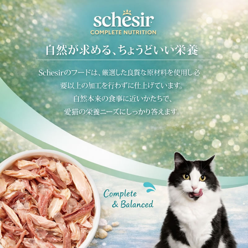 ������ ����å� �ޥ���ѥå� �ĥ� with �ӡ��� 50g��6 ��ǭ�� ������ܿ� Schesir