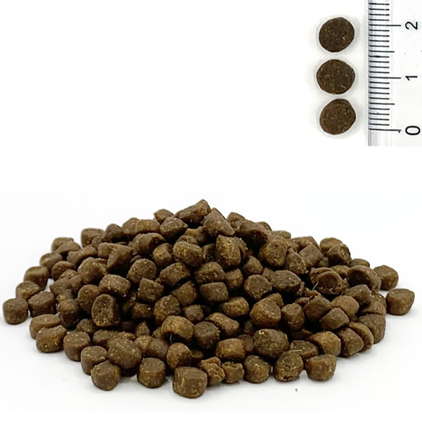 �ڥ���ץ�� �֥ꥹ�ߥå��� ���쥤��ե꡼ ����å�