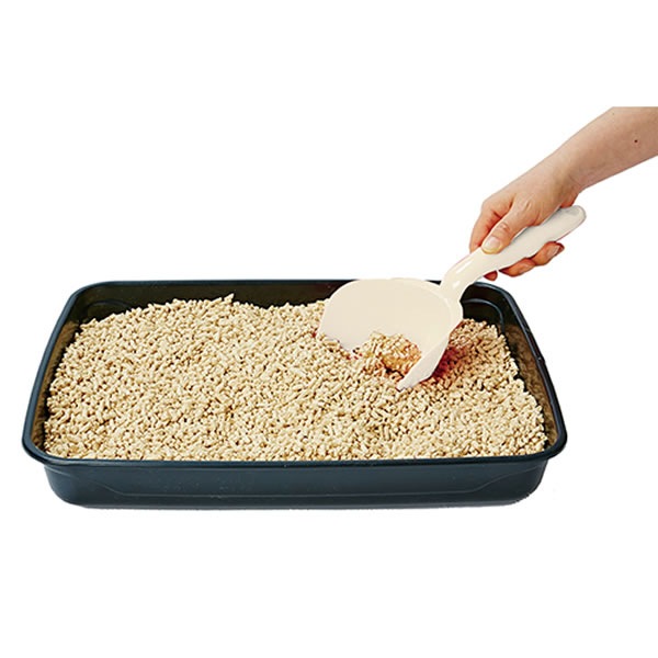 necoco �礭������ɥ����å� �ۥ磻��