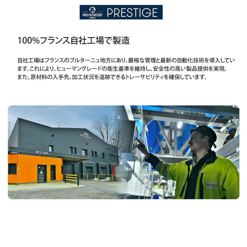 �ץ쥹�ƥ����� ǭ�� �������󥰥��� ��ǥ���� with ������ 400g