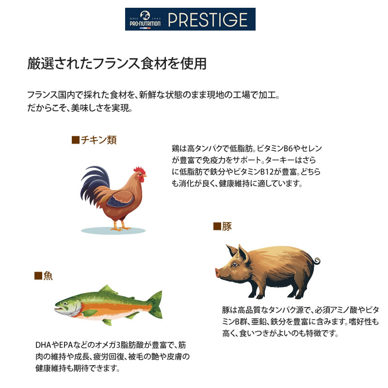 �ץ쥹�ƥ����� ǭ�� �������󥰥��� ��ǥ���� with ������ 400g