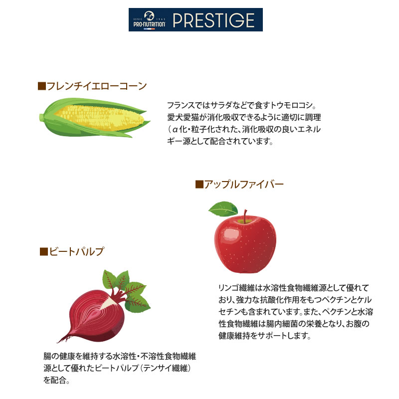 �ץ쥹�ƥ����� ǭ�� �������󥰥��� ��ǥ���� with ������ 400g