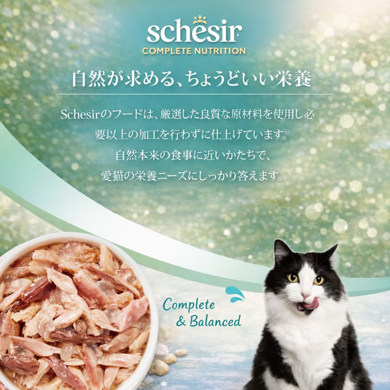 ������ ����å� �ѥ��� �ĥ� 85g ��ǭ�� ������ܿ� Schesir