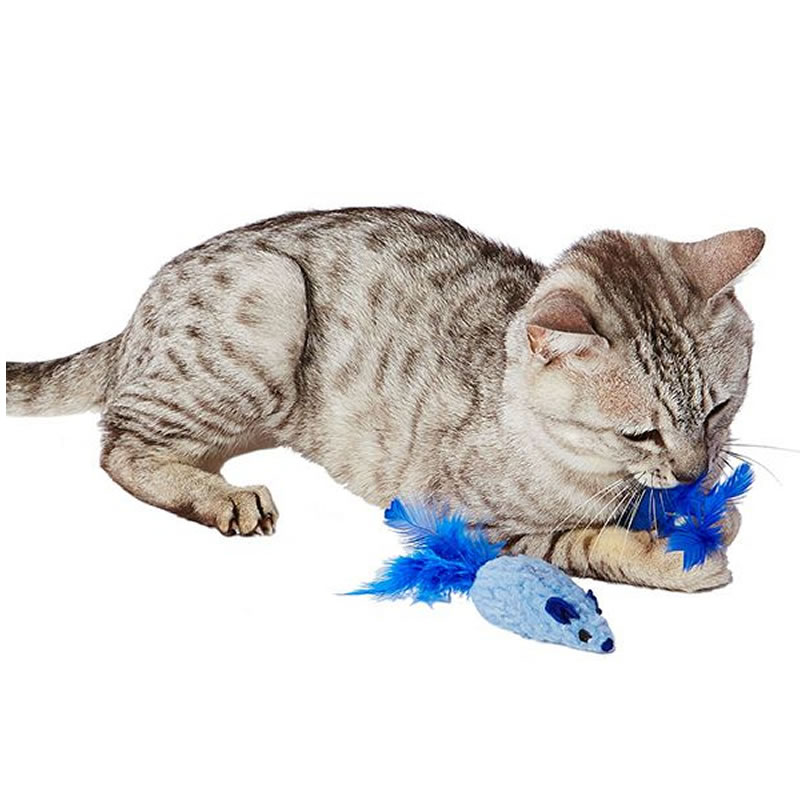 �ڥƥ��� �繥���֥롼�Τ⤳�⤳���塼���塼 2�ĥ��å�