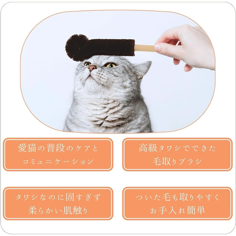 �ͤ������� ǭ����֥ޥå����� �Ӽ��֥饷 �ʤ����������ä�