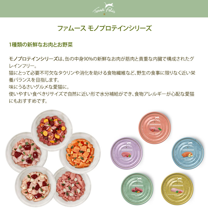 �ƥ�ե��ꥹ �ե��ࡼ�� ������ 80g