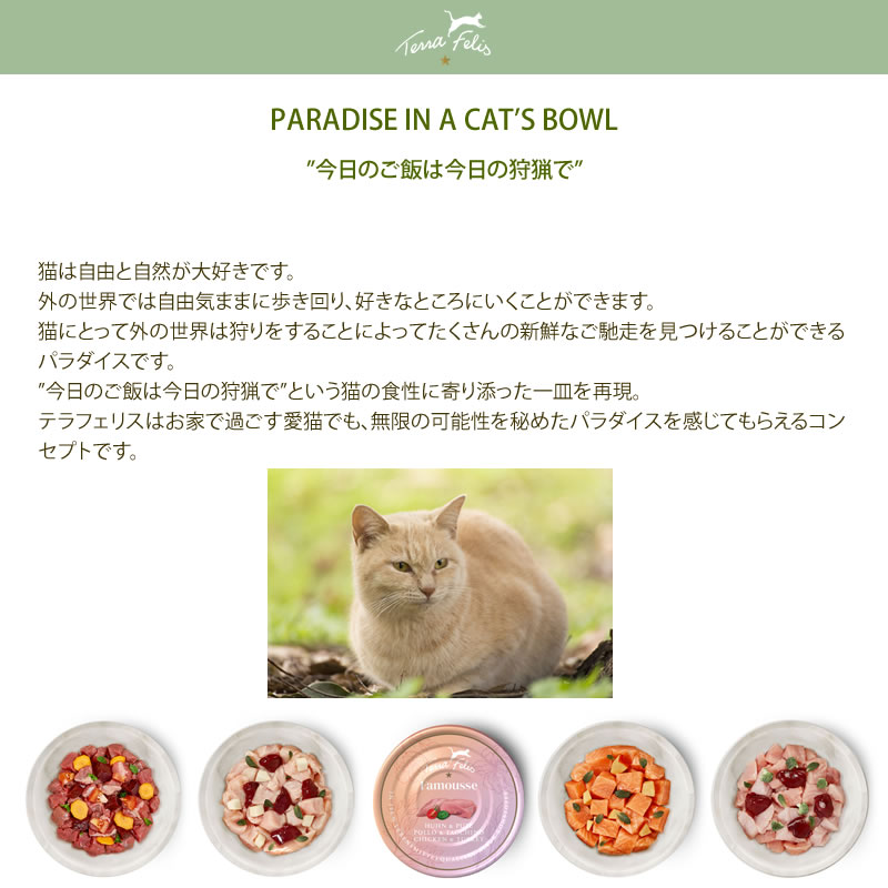 �ƥ�ե��ꥹ �ե��ࡼ�� ������ 80g