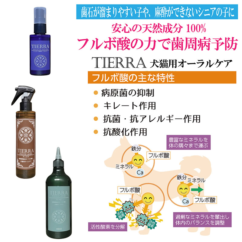 TIERRA �ƥ�����  ��ǭ�� ������륱�� 50ml