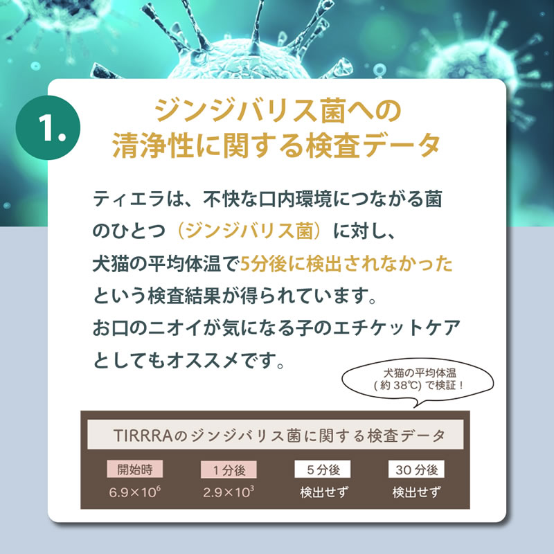 TIERRA �ƥ�����  ��ǭ�� ������륱�� 50ml