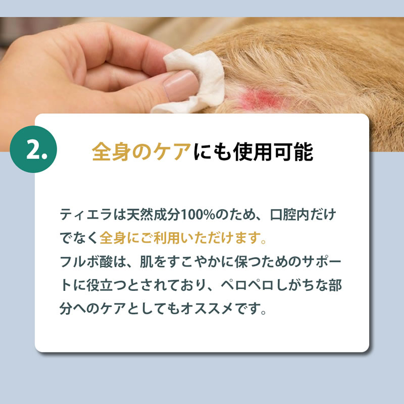 TIERRA �ƥ�����  ��ǭ�� ������륱�� 50ml