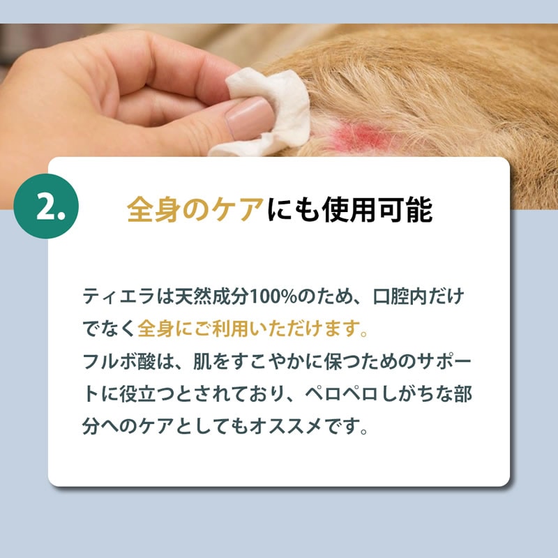 TIERRA �ƥ����� ��ǭ�� �����륱�� 200ml