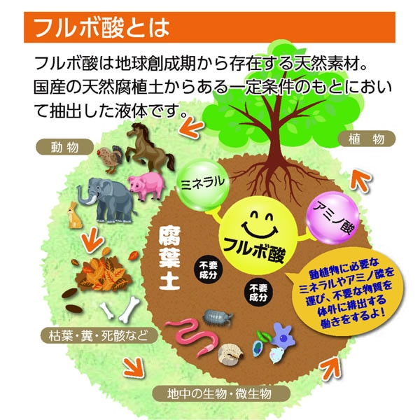 TIERRA ƥ ǭ 륱 200ml