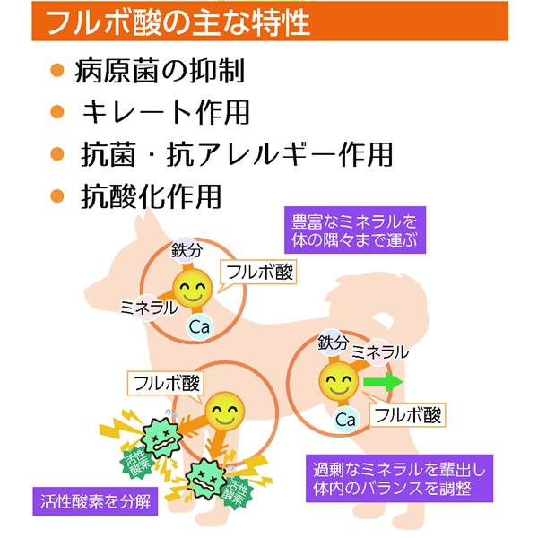 TIERRA ƥ ǭ 륱 200ml