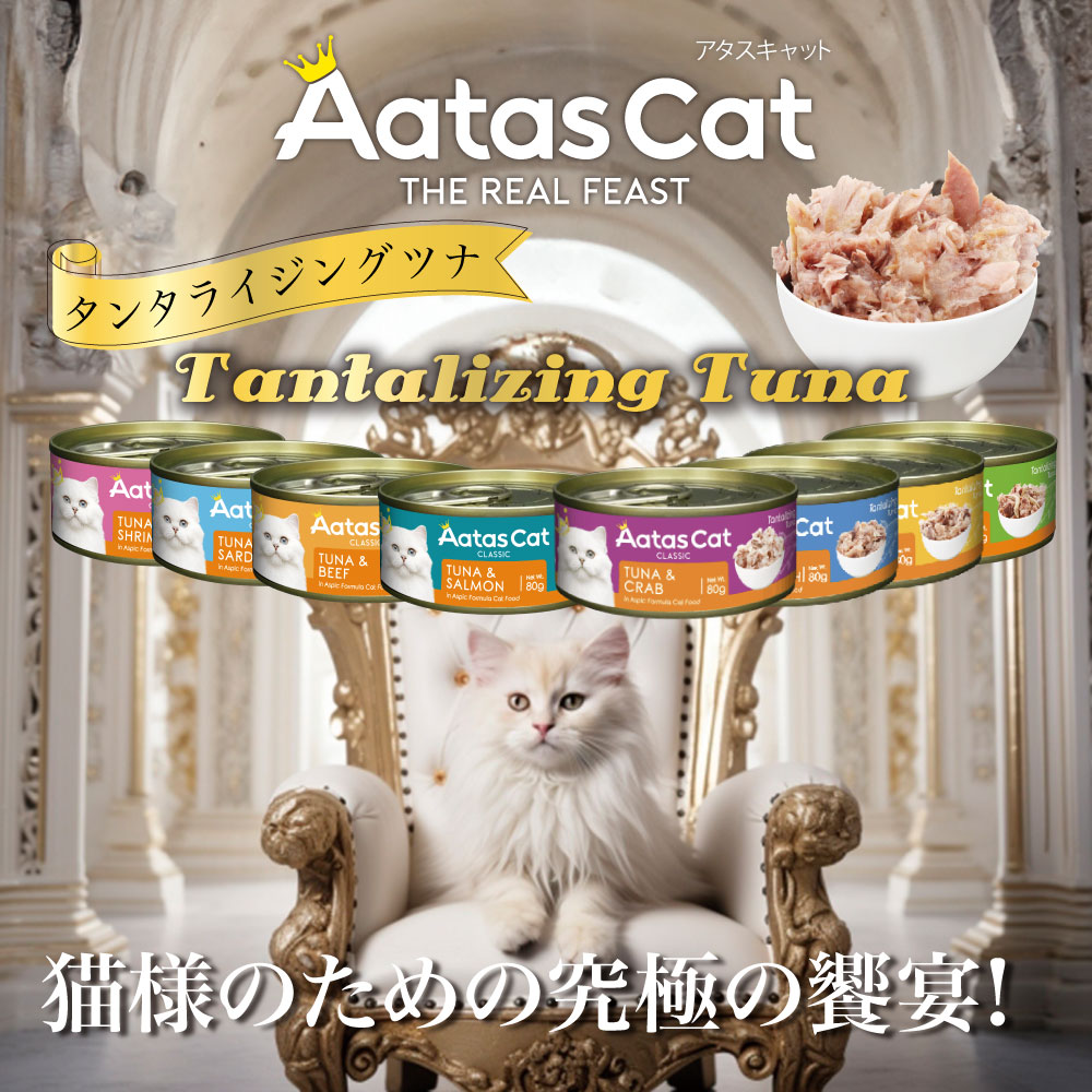 ������ ����å� ���󥿥饤���� �ĥʡ������֥꡼�� 80g