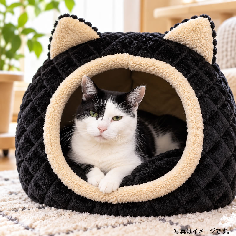 �ܥ�ӥ��륳�� ��դ�� ����åȥϥ��� ����� �֥�å�