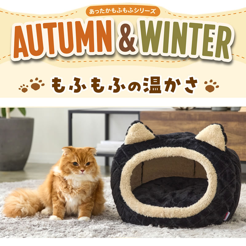 �ܥ�ӥ��륳�� ��դ�� ����åȥϥ��� ����� �֥�å�