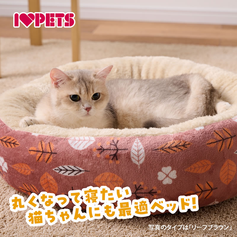 �ܥ�ӥ��륳�� �⤳�⤳�饦��ɥ٥å� �꡼�ե�å� S