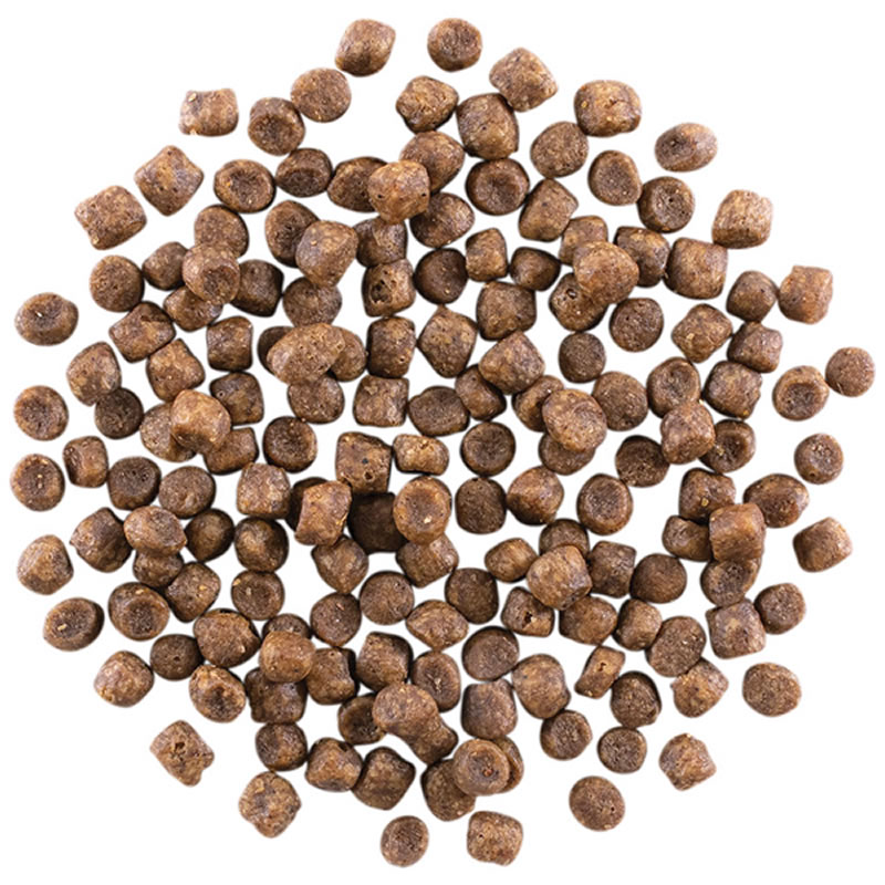 NOW FRESH �ʥ��ե�å��� ���쥤��ե꡼ ������ȥ���å� 1.36kg