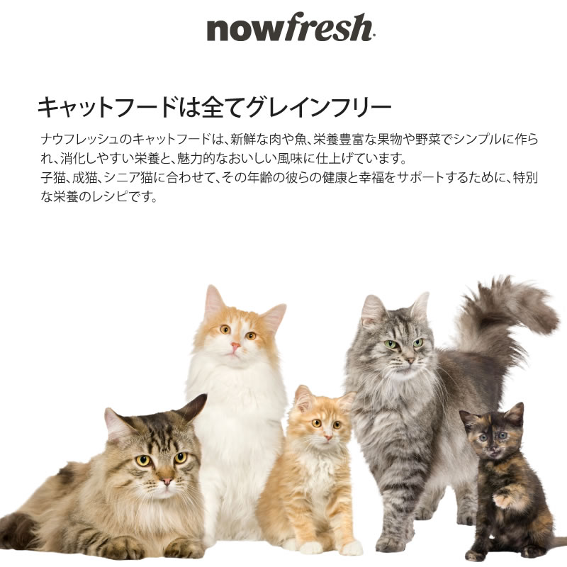 NOW FRESH �ʥ��ե�å��� ���쥤��ե꡼ �ե��å��� ������ȥ���å� 350g