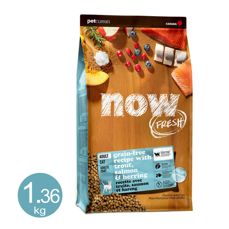 NOW FRESH �ʥ��ե�å��� ���쥤��ե꡼ �ե��å��� ������ȥ���å� 1.36kg