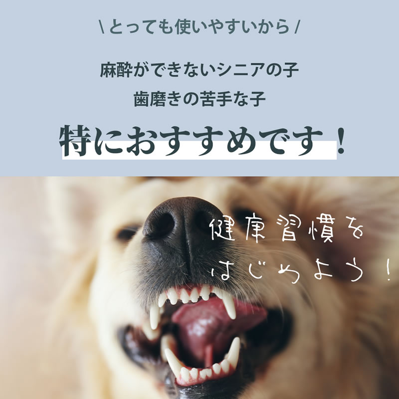 �ڥͥ��ݥ����� ����̵����TIERRA �ƥ�����  ��ǭ�� ������륱�� 50ml 2�ܥ��å�