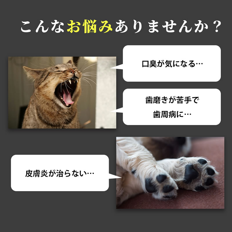 �ڥͥ��ݥ����� ����̵����TIERRA �ƥ�����  ��ǭ�� ������륱�� 50ml 2�ܥ��å�